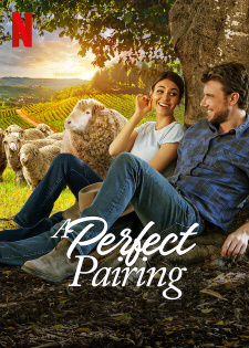 stream A Perfect Pairing