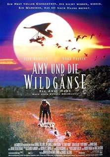 stream Amy und die Wildgänse