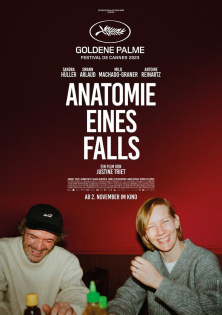 stream Anatomie eines Falls