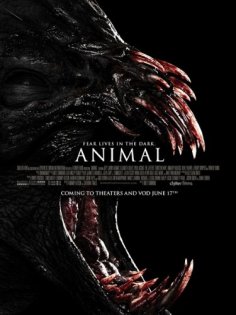 stream Animal