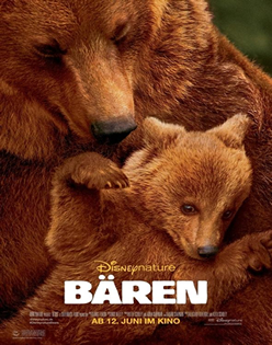 stream Bären