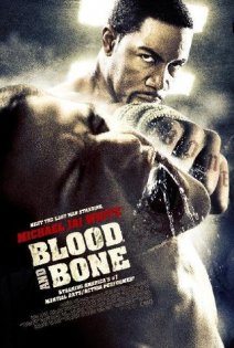 stream Blood And Bone