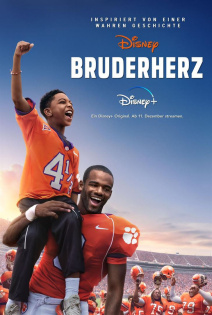 stream Bruderherz