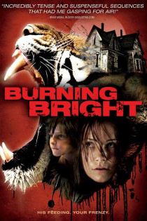 stream Burning Bright