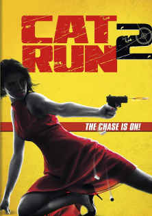 stream Cat Run 2