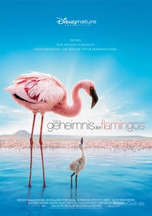 stream Das Geheimnis der Flamingos