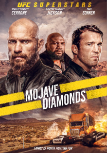 stream Diamond Heist - Ein unmöglicher Auftrag