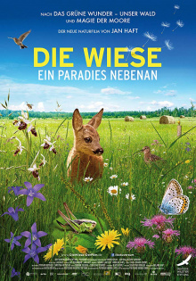 stream Die Wiese - Ein Paradies nebenan