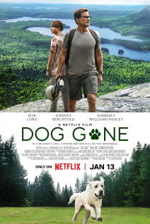 stream Dog Gone