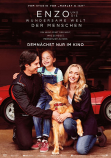 stream Enzo und die wundersame Welt der Menschen