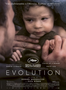 stream Evolution (2021)