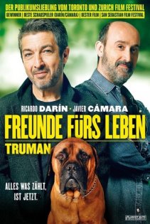 stream Freunde fürs Leben