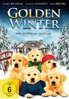 stream Golden Winter Wir suchen ein Zuhause