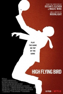stream High Flying Bird