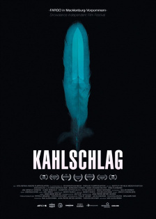 stream Kahlschlag