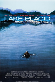 stream Lake Placid