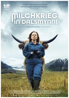 stream Milchkrieg in Dalsmynni