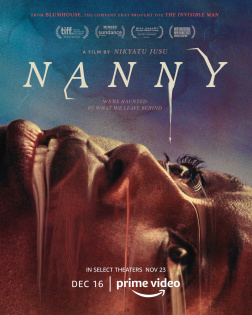 stream Nanny