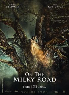 stream On the Milky Road