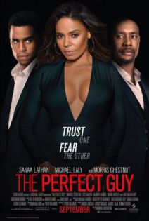 stream The Perfect Guy