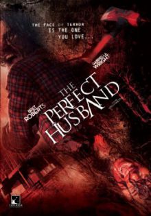 stream The Perfect Husband