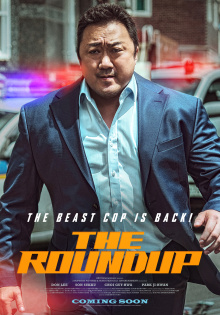 stream The Roundup