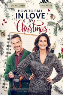stream Traummann fürs Weihnachtsfest gesucht