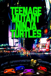 stream Turtles