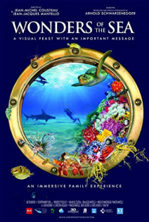stream Wonders of the Sea